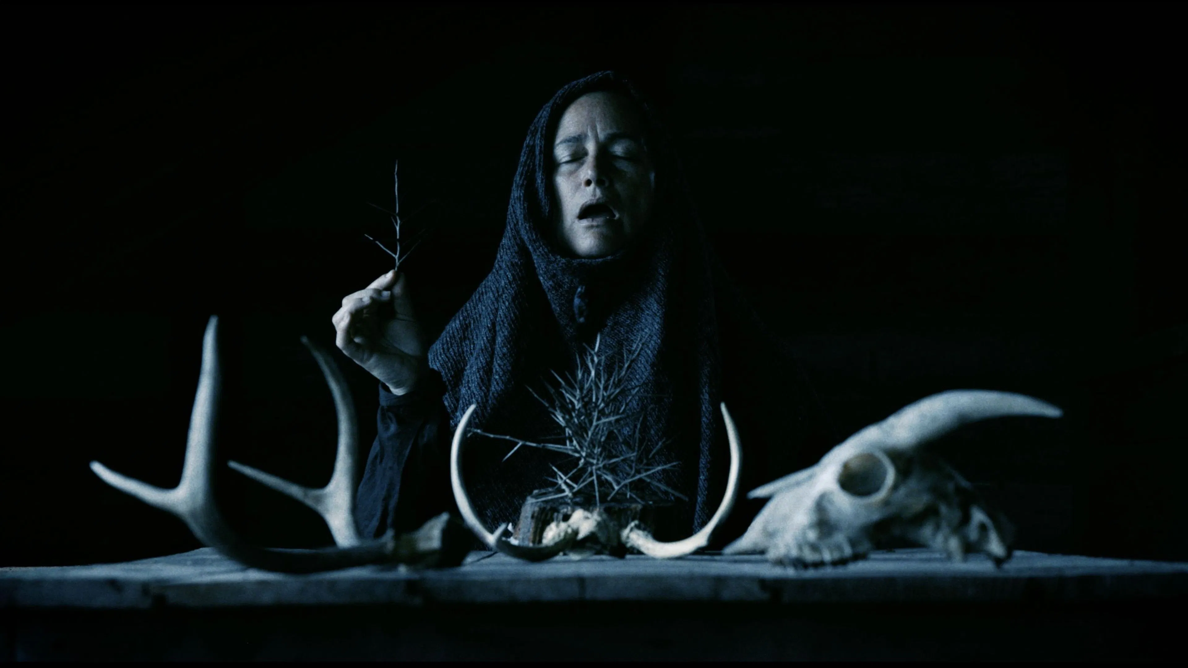 Vale a pena assistir Mother of Flies? Nota, Elenco e Onde passa dublado