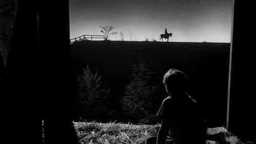 Onde assistir O Mensageiro do Diabo (1955) online? Melhor streaming e Sinopse