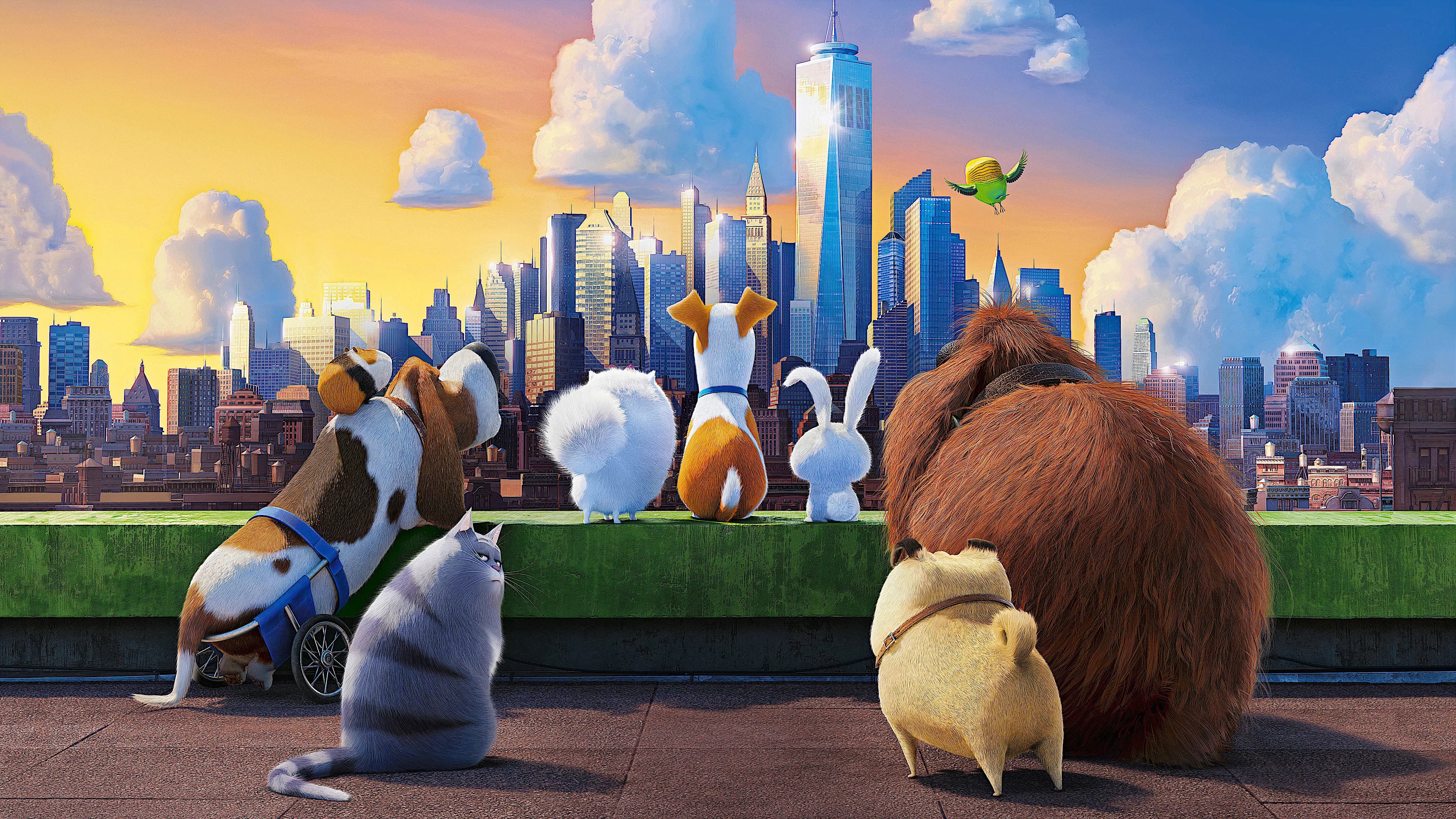 Pets: A Vida Secreta dos Bichos completo dublado HD: Veja onde assistir e confira a crítica