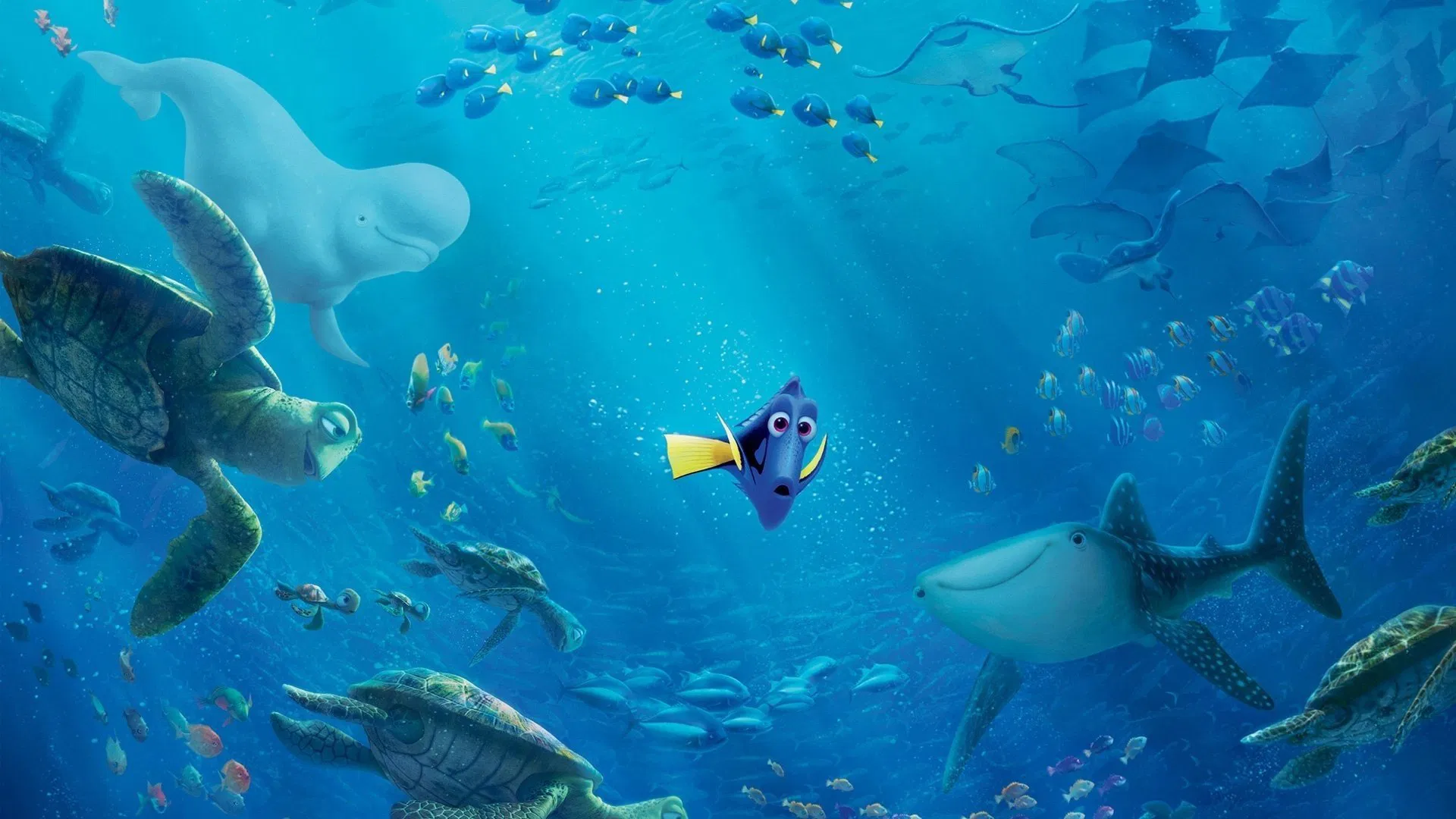 Vale a pena assistir Procurando Dory? Nota, Elenco e Onde passa dublado